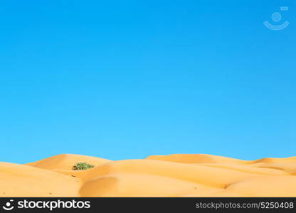 the empty quarter and outdoor sand dune in oman old desert rub al khali