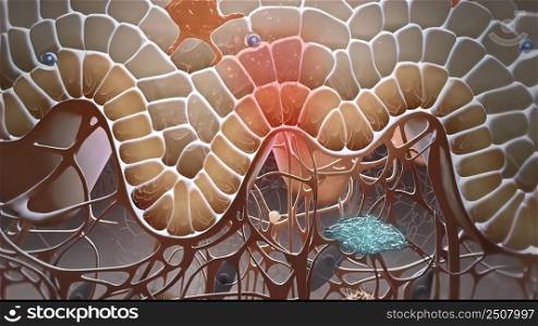 The environmental and cellular participants in the regulation of skin barrier function are presented in an exciting animated that describes the immune responses in healthy and psoriatic skin. 3D illustration. 3D Microbiology of Immunology of the skin