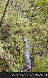 The Erskine falls in The Otways near Lorne, Great Ocean Road, Australia, drop 30 metres in to the fern-lined valley of the Erskine River.