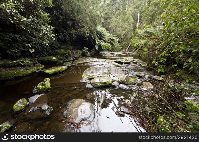 The Erskine River in The Otway Ranges near Lorne, Great Ocean Road, Australia