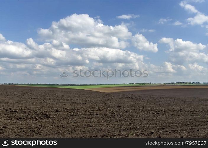 The fallow field with look toward corn field, trees and building in springtime, Ludogorie, Bulgaria