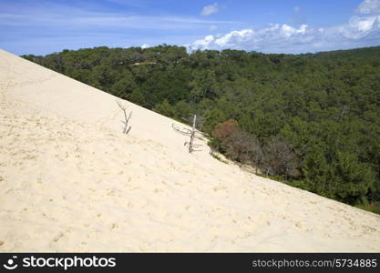 The Famous dune of Pyla, the highest sand dune in Europe, in Pyla Sur Mer, France.