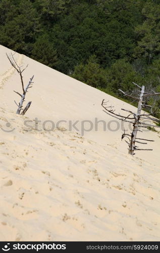 The Famous dune of Pyla, the highest sand dune in Europe, in Pyla Sur Mer, France.