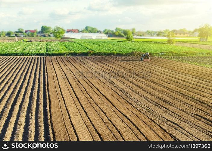 The farm&rsquo;s field is processed with agricultural machinery. Tractor with milling machine loosens, grinds, mixes soil. Farming and agriculture. Loosening surface, cultivating land for planting.