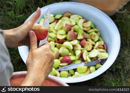 The farmer's women's hands peel the apples in the garden by cutting them with a knife and throwing the pieces into an enamel bowl.. A farmer cleans the apples by cutting them with a knife and throwing the pieces into an enamel bowl.