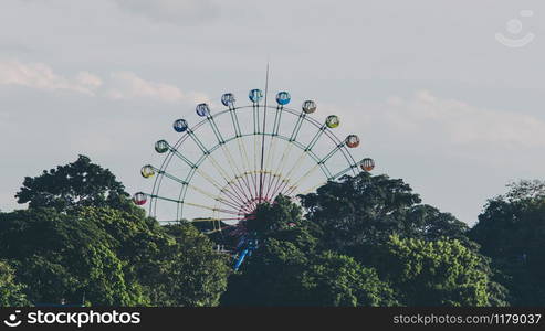 The ferris wheel with green forest landscape