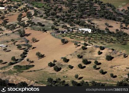 the Fields allround the historical Town of Fes in Morocco in north Africa.. AFRICA MAROCCO FES