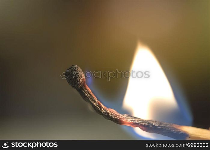 The fire spreads over a wooden match close up