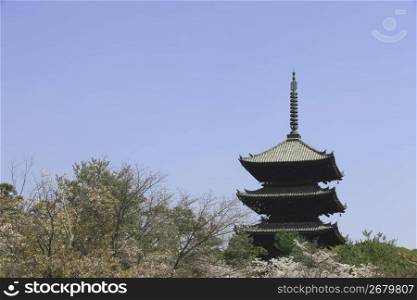 The five-storied pagoda