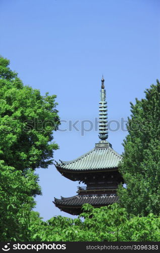 The five-storied pagoda