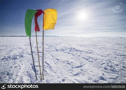 The Flags on the background of winter sky. Flags on the background of winter sky