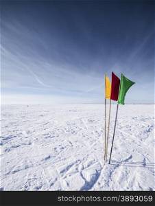The Flags on the background of winter sky. Flags on the background of winter sky