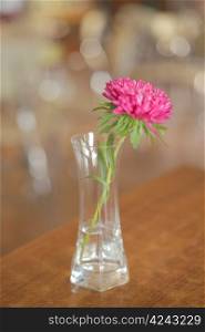 The flower in the glass on the table