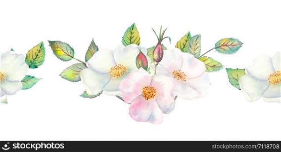 The flowers and leaves of wild rose. Repetition of summer horizontal border. Floral watercolor illustration. Compositions for greeting cards or invitations.. The flowers and leaves of wild rose. Repetition of summer horizontal border. Floral watercolor illustration. Compositions for greeting cards or invitations