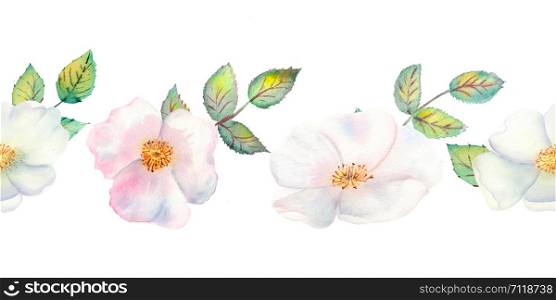 The flowers and leaves of wild rose. Repetition of summer horizontal border. Floral watercolor illustration. Compositions for greeting cards or invitations.. The flowers and leaves of wild rose. Repetition of summer horizontal border. Floral watercolor illustration. Compositions for greeting cards or invitations
