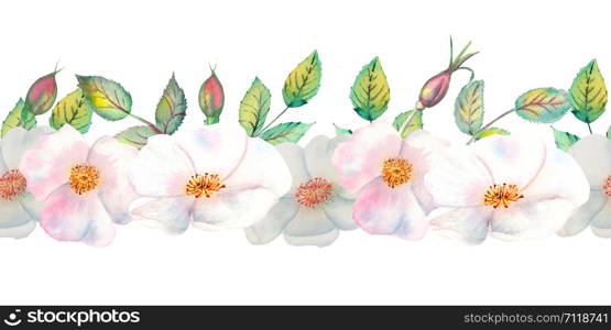 The flowers and leaves of wild rose. Repetition of summer horizontal border. Floral watercolor illustration. Compositions for greeting cards or invitations.. The flowers and leaves of wild rose. Repetition of summer horizontal border. Floral watercolor illustration. Compositions for greeting cards or invitations