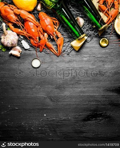 The food delicacies. Boiled crawfish with beer and spices. On a black chalkboard.. The food delicacies. Boiled crawfish with beer and spices.