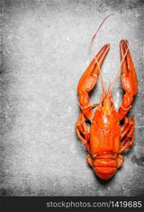 The food delicacies. Fresh boiled lobster. On a stone background.. The food delicacies. Fresh boiled lobster.