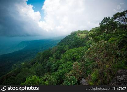 The forest jungle with tree on mountain cliff landscape scenic view nature and rain clouds the storm on sky in the rainforest asia