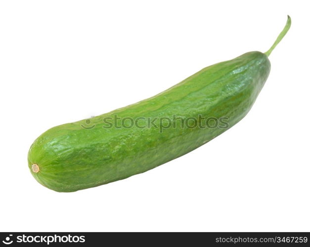 The fresh green cucumber with a tail lies on a white background