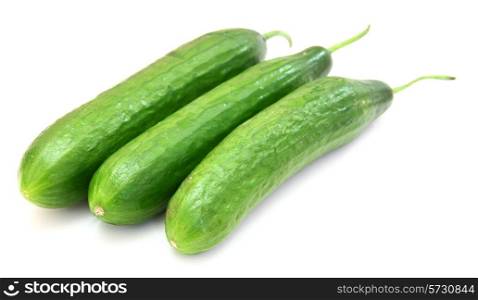 The fresh green cucumber with a tail lies on a white background