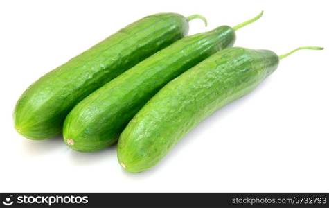 The fresh green cucumber with a tail lies on a white background