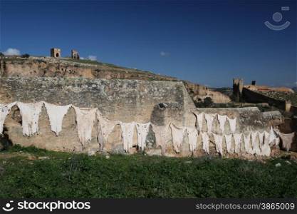 The fresh Leather gets dry on the sun near Leather production in front of the Citywall in the old City in the historical Town of Fes in Morocco in north Africa.. AFRICA MAROCCO FES