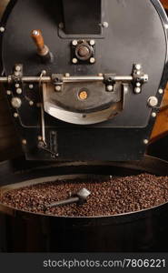 The freshly roasted coffee beans from a large old coffee roaster being stirred in the cooling cylinder.