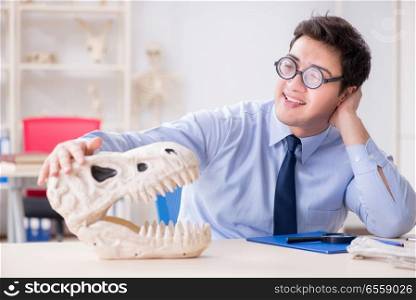 The funny crazy professor studying dinosaur skeleton. Funny crazy professor studying dinosaur skeleton