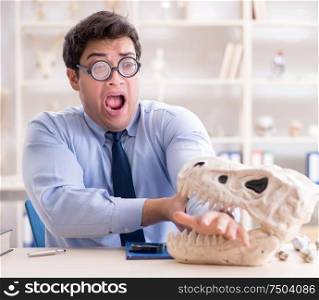 The funny crazy professor studying dinosaur skeleton. Funny crazy professor studying dinosaur skeleton