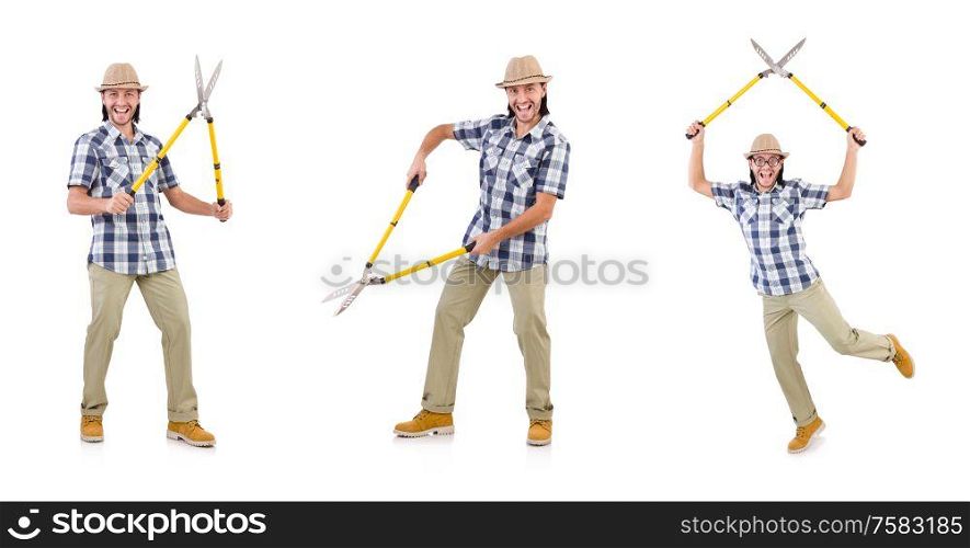 The funny guy with garden shears on white. Funny guy with garden shears on white