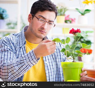 The gardener florist working in a flower shop with house plants. Gardener florist working in a flower shop with house plants