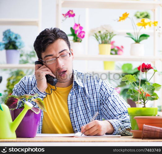 The gardener florist working in a flower shop with house plants. Gardener florist working in a flower shop with house plants