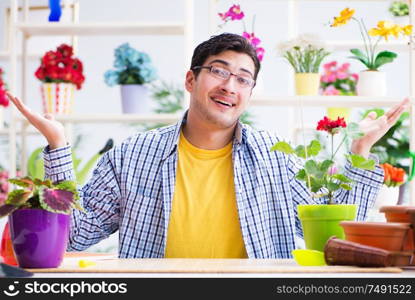 The gardener florist working in a flower shop with house plants. Gardener florist working in a flower shop with house plants