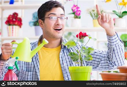 The gardener florist working in a flower shop with house plants. Gardener florist working in a flower shop with house plants