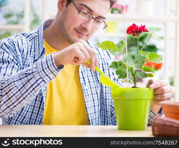 The gardener florist working in a flower shop with house plants. Gardener florist working in a flower shop with house plants