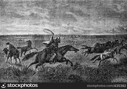 The Gauchos of the Pampas. Their bolas will wrap around the neck bronco, vintage engraved illustration. Journal des Voyages, Travel Journal, (1879-80).