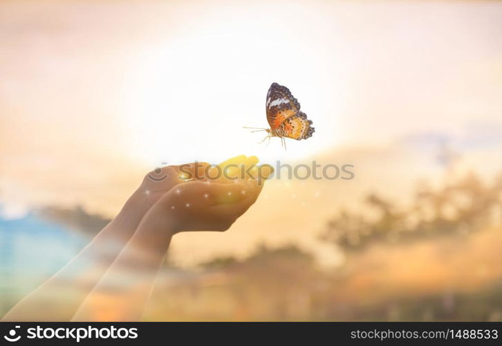 The girl frees the butterfly from moment Concept of freedom