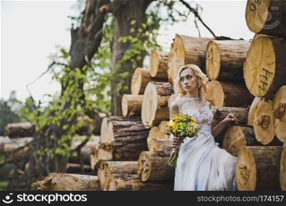 The girl in a dress in wood.. The girl among logs 3201.
