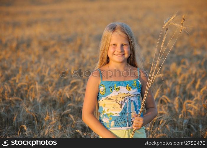 The girl in filed wheats. Warm light sunset