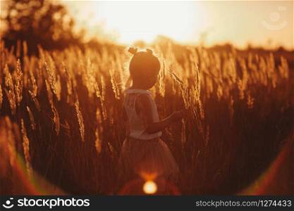 The girl is playing in the field among the herbs. beautiful girl at sunset. beautiful girl at sunset. The girl is playing in the field among the herbs