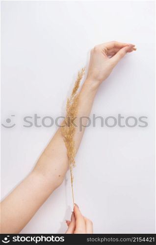 The girl leads a dried flower along her smooth hand, the concept of smoothness and beauty of the skin. Laser hair removal, spa treatment. Laser hair removal. The girl leads a dried flower along her smooth hand, the concept of smoothness and beauty of the skin. Laser hair removal, spa treatment. Laser hair removal.