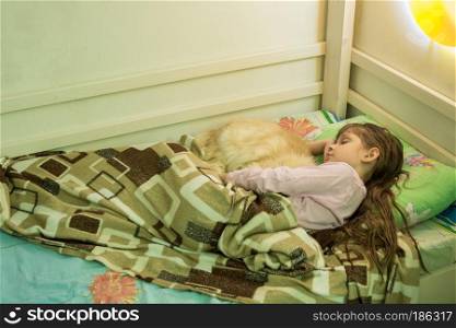 The girl sleeps in bed with a domestic cat