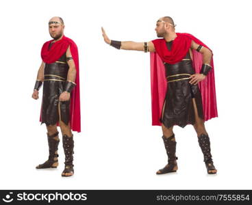 The gladiator isolated on white background. Gladiator isolated on white background