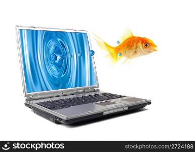 The gold small fish jumps out of the monitor of a computer