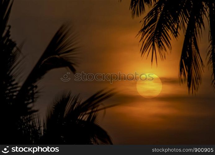 The golden light of the sun and clouds in the sky with the shadow of the coconut trees.