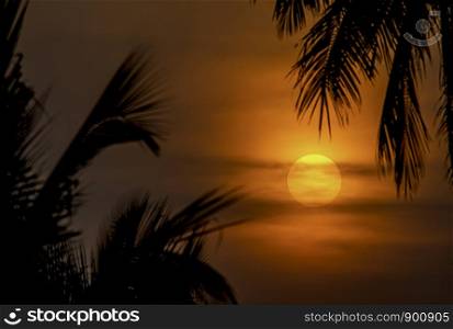 The golden light of the sun and clouds in the sky with the shadow of the coconut trees.