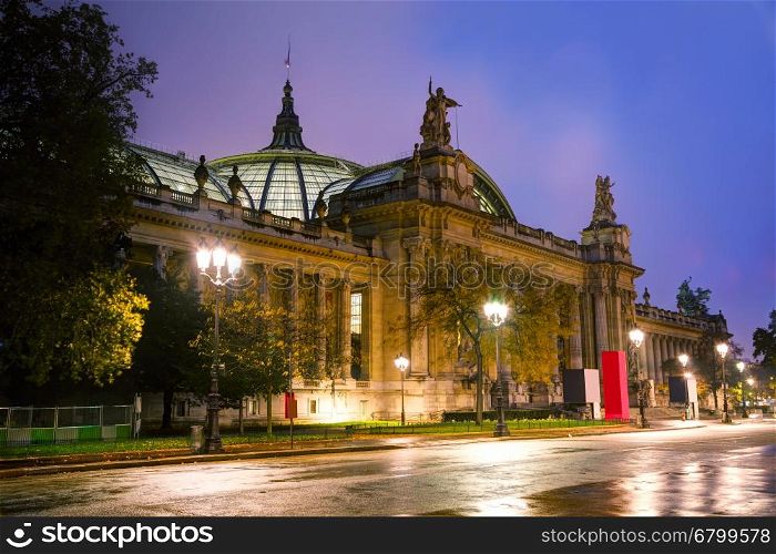 The Grand Palais des Champs-Elysees in Paris, France at night