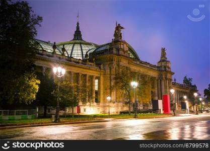 The Grand Palais des Champs-Elysees in Paris, France at night