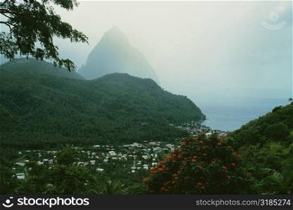 The Grand Piton on the island of St. Lucia is shrouded in mist